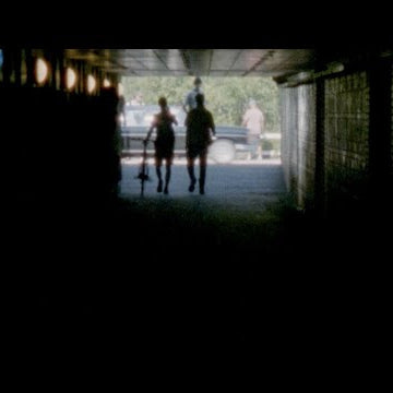 POLAR SKATE CO. - Sounds like you Guys are crushing it - Trailer