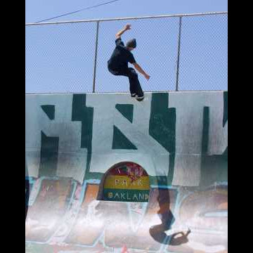 Tom Schaar takes flight in his "Curtains" part ✈️