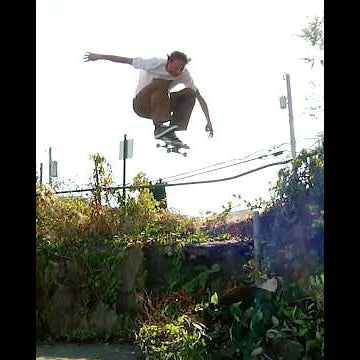 🌲 Unless Collective’s “Tree Counting” video is playing on the Thrasher site 📡