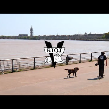 RIOT X VENTURE