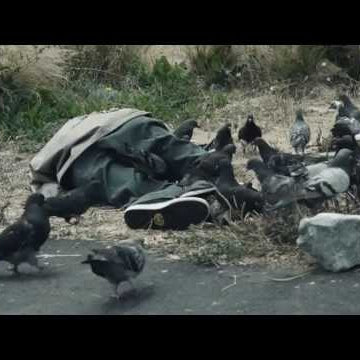 Pigeons Revenge Board Series