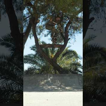 Chris Colbourn Skates a Tree!