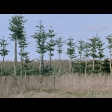 POLAR SKATE CO. - We blew it at some point