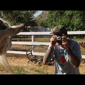 Krooked Ventura Afternoon