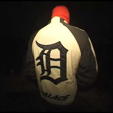 PALACE DETROIT TIGERS