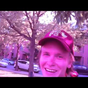 Frog Dustin