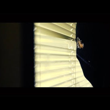 Black Friday | Primitive Skate