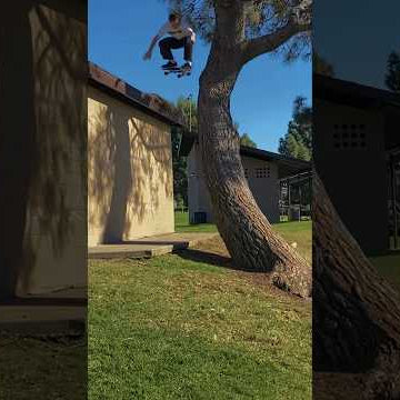 Roof to Tree 🤯 Kieran Woolley