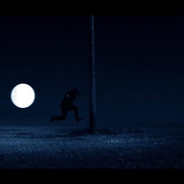 POLAR SKATE CO. - I like it here inside my mind. Don't wake me this time.