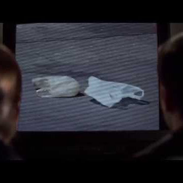 WKND Beauty "The Most Beautiful Thing Ever Filmed"