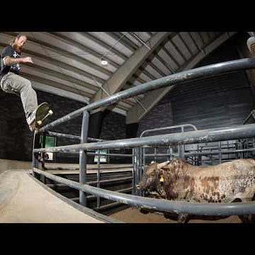 MASHER: Bowls and Bulls