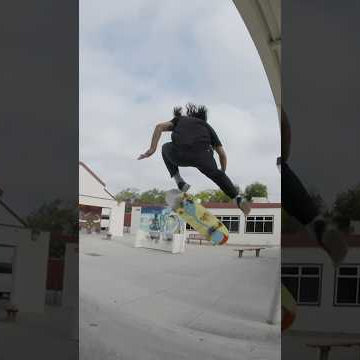Franky Villani Regular and Switch Fs Flip