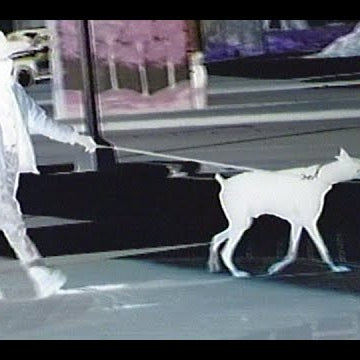 DALLAS MAN