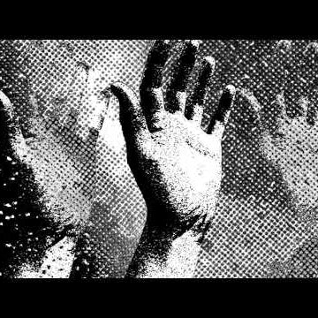 Palace Anarchic Adjustment