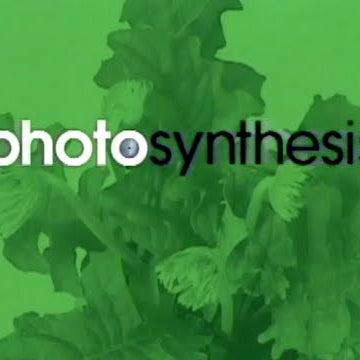 Alien Workshop Photosynthesis Intro, 2000
