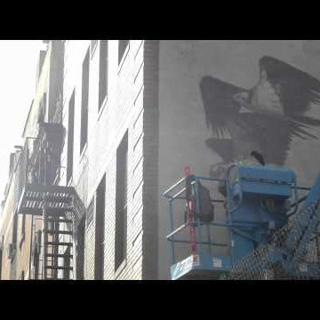 Wall to Wall: Brooklyn