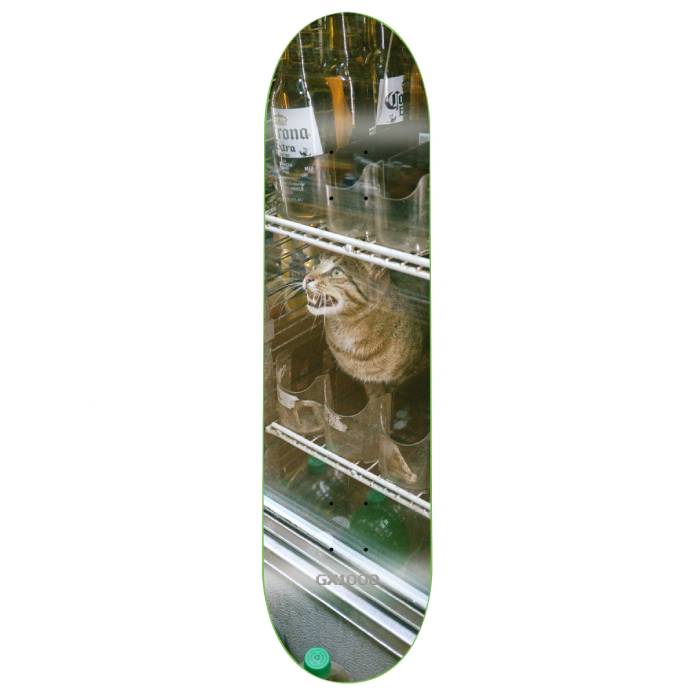 Bodega Cat