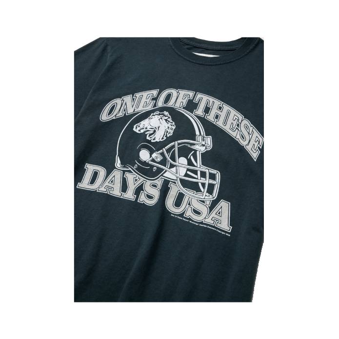 Days USA T-Shirt (Washed Black)
