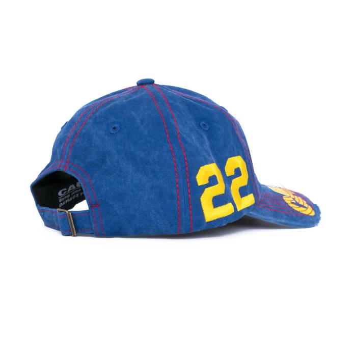 Distressed Hat (Blue)