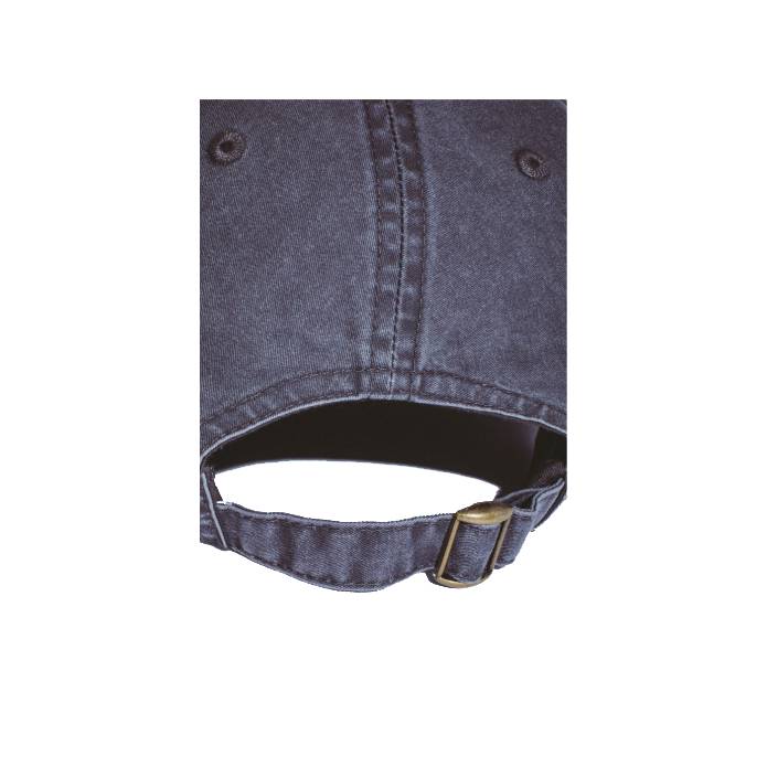 Fieldtrip 1998 Embroidered 6 Panel Hat (Charcoal)