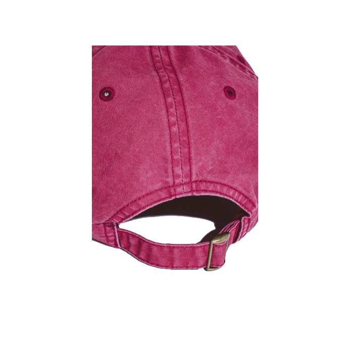 Fieldtrip 1998 Embroidered 6 Panel Hat (Maroon)