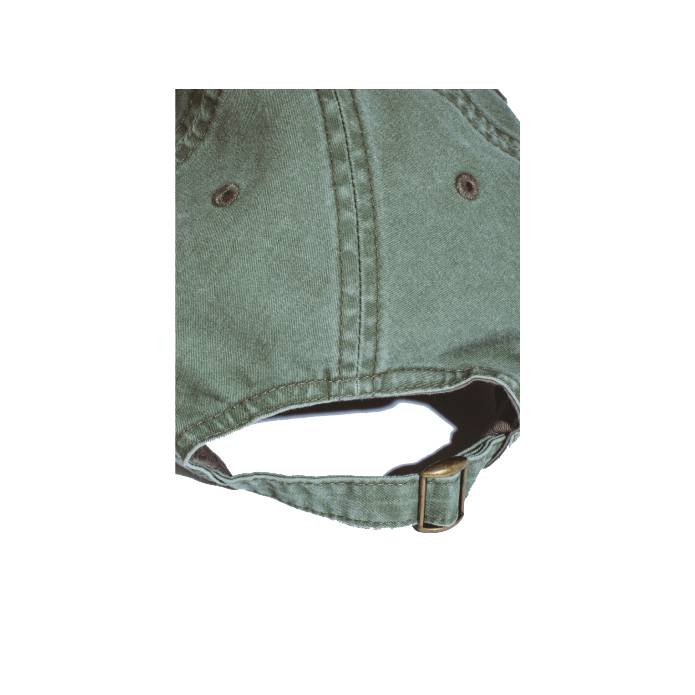 Fieldtrip 1998 Embroidered 6 Panel Hat (Olive)