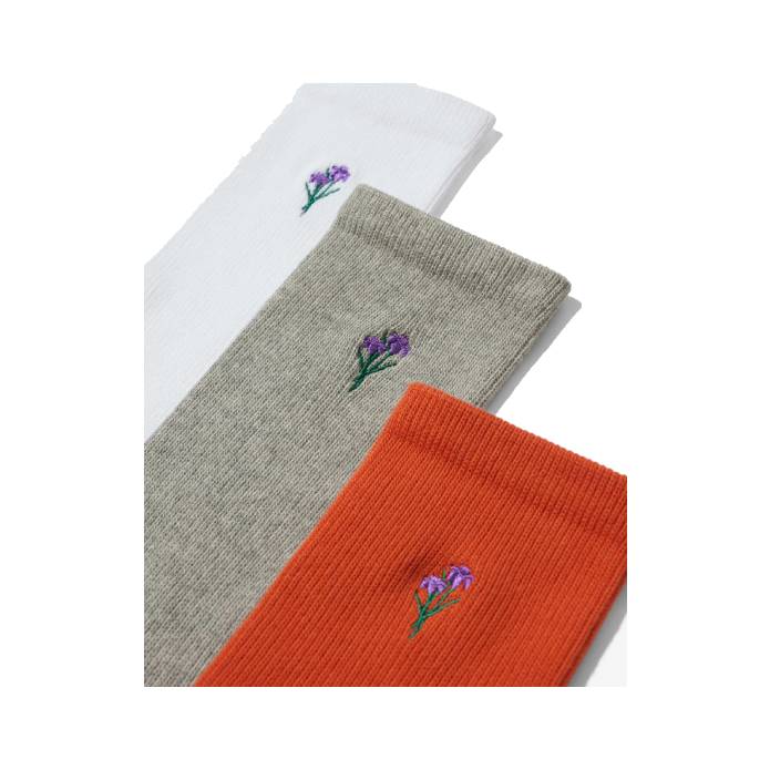 Iris Sock 3-Pack (Multi)