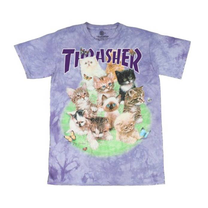 Kittens T-Shirt (Purple)