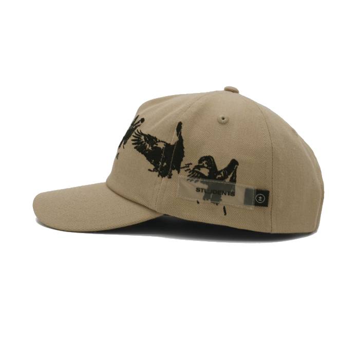 Sequence Snap Back Hat (Sand)